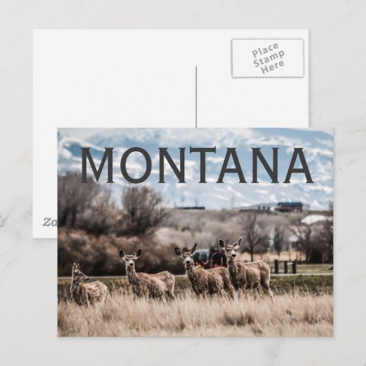 MONTANA BRIEFKAART (Voorkant / Achterkant)