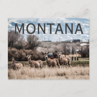 MONTANA BRIEFKAART