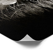 Montana Cowboys, 1939.  foto Poster (Hoek)