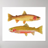 Montana Cuthroats Poster (Voorkant)