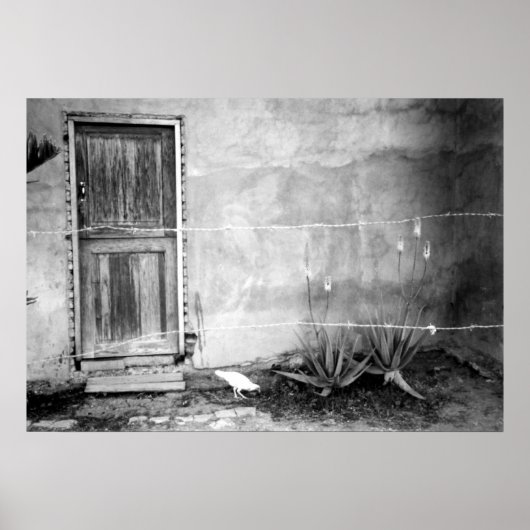 Montana de' Luz, Honduras Poster (Voorkant)