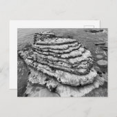 Montaña de Oro State Park, Californië Briefkaart (Voorkant / Achterkant)