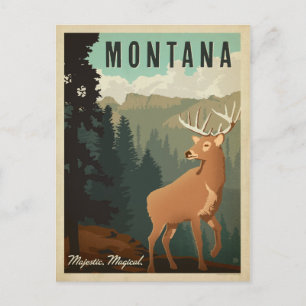 Montana Deer   Meerjarig, Magisch Briefkaart