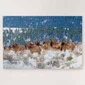 Montana Elk Herd Legpuzzel (Horizontaal)
