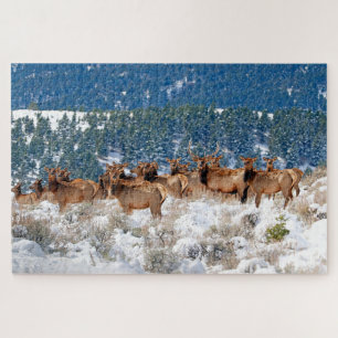 Montana Elk Herd Legpuzzel