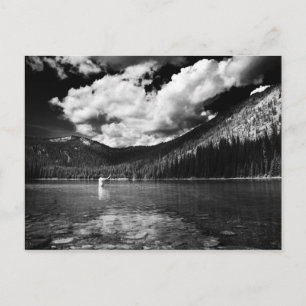 Montana Fisherman Briefkaart