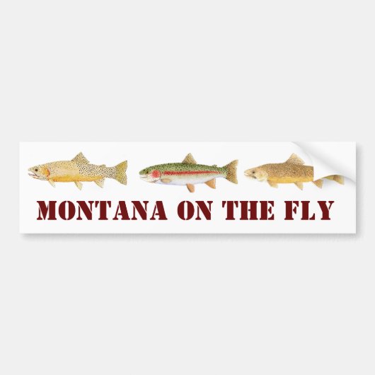 Montana Fly Fishing Bumpersticker (Voorkant)