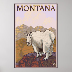 Montana - Geitte Montana Poster
