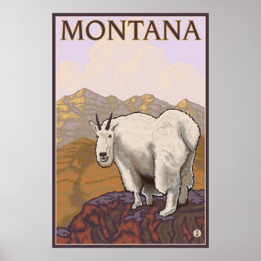 Montana - Geitte Montana Poster (Voorkant)