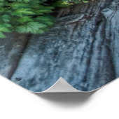 Montana Ghost Town Outhouse Poster (Hoek)