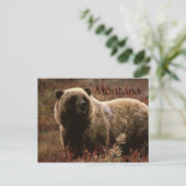 Montana grizzly beer briefkaart (Staand voorkant)