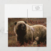 Montana grizzly beer briefkaart (Voorkant / Achterkant)