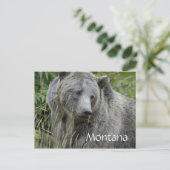 Montana grizzly beer briefkaart (Staand voorkant)