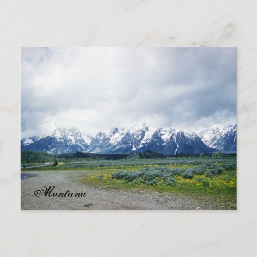 Montana Hills Landschap Mooi 1950's Briefkaart (Voorkant)