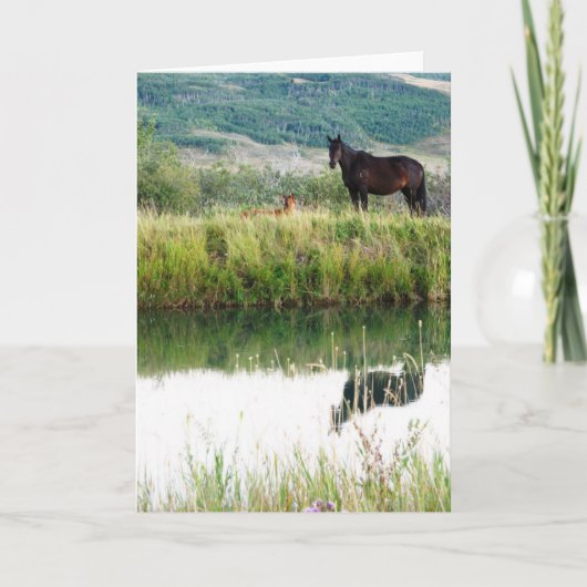 Montana Horses Kaart (Voorkant)