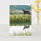 Montana Horses Kaart (Gele Bloem)