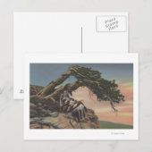 Montana - Indiaas hoofd in Glacier National Park Briefkaart (Voorkant / Achterkant)