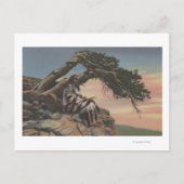 Montana - Indiaas hoofd in Glacier National Park Briefkaart (Voorkant)