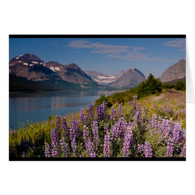 Montana - Kunst van Kerma (Voorkant Horizontaal)