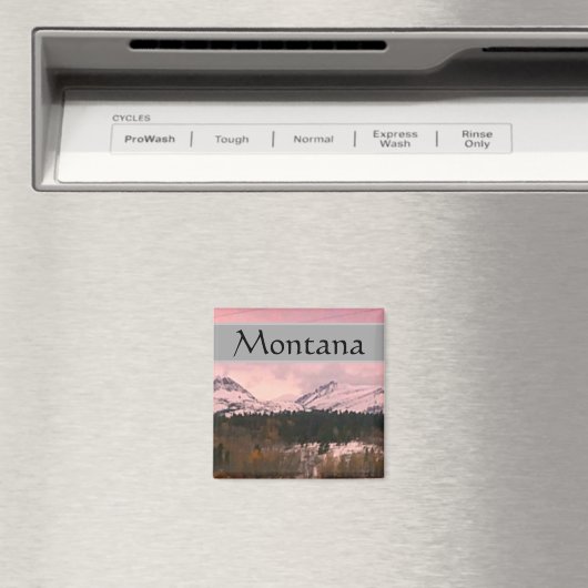 Montana Magnet (Insitu (Vaatwasser))