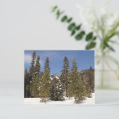 Montana Mountain Trails in Winter Landscape Foto Briefkaart (Staand voorkant)