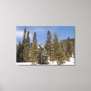 Montana Mountain Trails in Winter Landscape Foto Canvas Afdruk