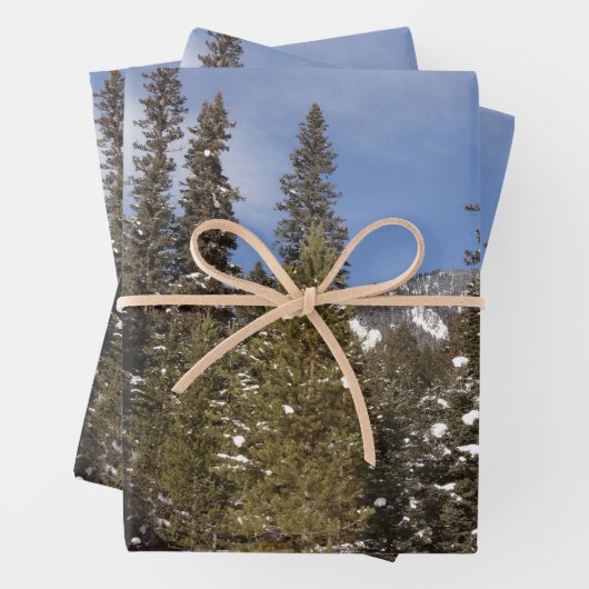 Montana Mountain Trails in Winter Landscape Foto Inpakpapier Vel (In situ)