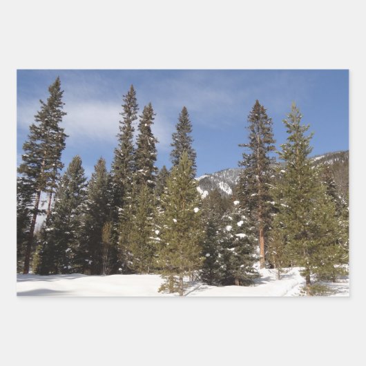 Montana Mountain Trails in Winter Landscape Foto Inpakpapier Vel (Voorkant 3)