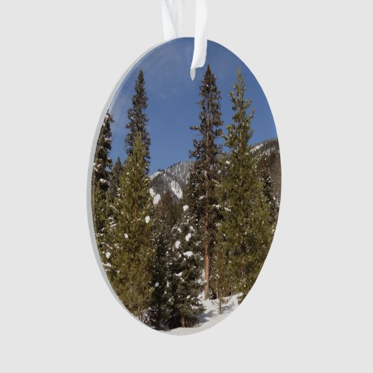 Montana Mountain Trails in Winter Landscape Foto Ornament (voorkant)