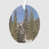 Montana Mountain Trails in Winter Landscape Foto Ornament (voorkant)