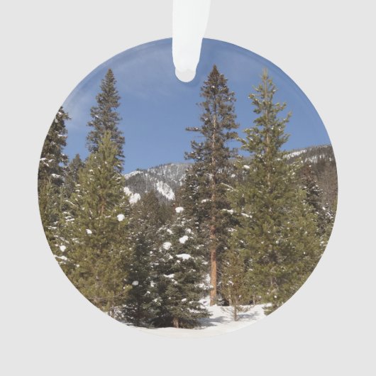 Montana Mountain Trails in Winter Landscape Foto Ornament (voorkant)