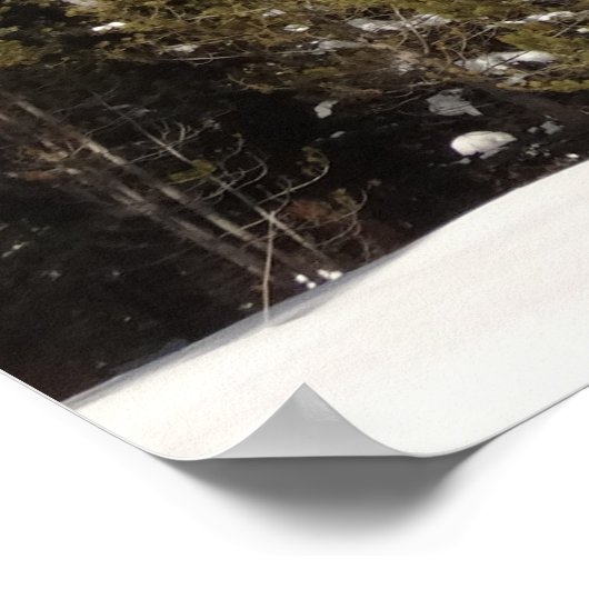 Montana Mountain Trails in Winter Landscape Foto Poster (Hoek)