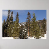 Montana Mountain Trails in Winter Landscape Foto Poster (Voorkant)