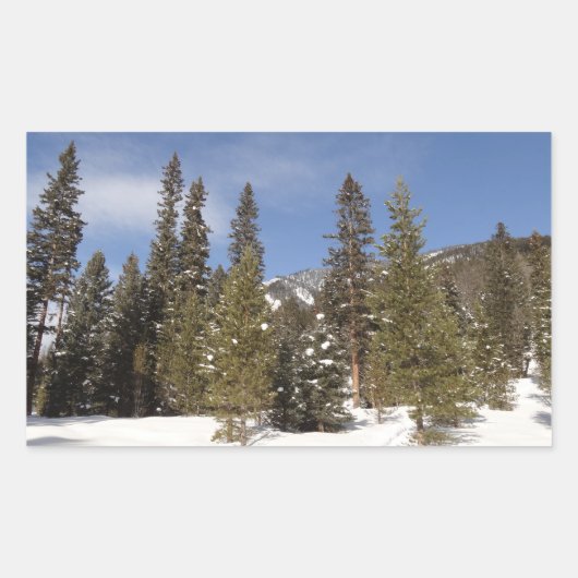 Montana Mountain Trails in Winter Landscape Foto Rechthoekige Sticker (Voorkant)