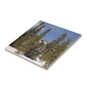 Montana Mountain Trails in Winter Landscape Foto Tegeltje (Zijkant)