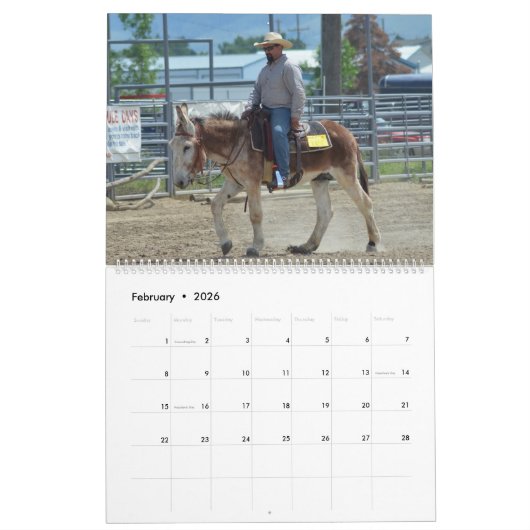 Montana Mule Days Kalender (Feb 2026)