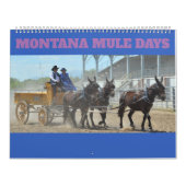 Montana Mule Days Kalender (Hoes)