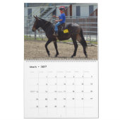 Montana Mule Days Kalender (Mar 2027)