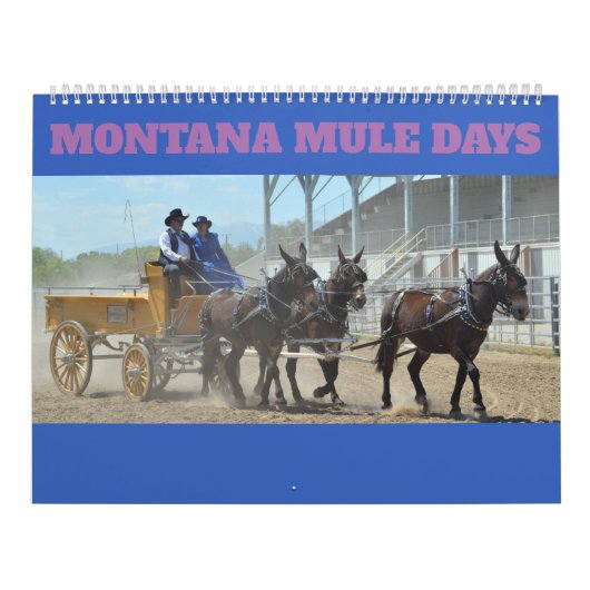 Montana Mule Days Kalender (Hoes)