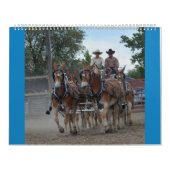 Montana Mule Days Kalender (Hoes)