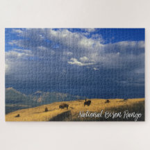 Montana National Bison Range Mountains Clouds Sky