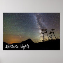 Montana Nights with Milky Way Mountains & Flowers