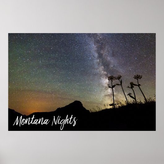 Montana Nights with Milky Way Mountains & Flowers Poster (Voorkant)