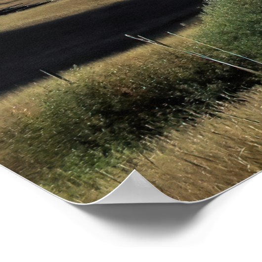 Montana Poster (Hoek)