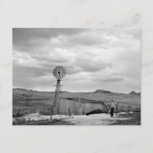 Montana Sheep Ranch, 1942 Briefkaart