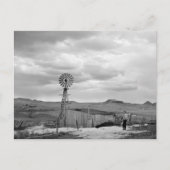 Montana Sheep Ranch, 1942 Briefkaart (Voorkant)