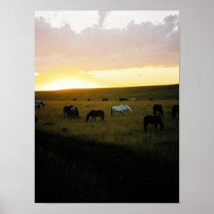 Montana Sky Poster