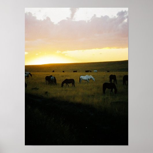 Montana Sky Poster (Voorkant)