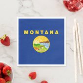 Montana Staatsvlag Servet (Insitu)