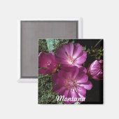 Montana State Bloem Bitterroot Magneet (Voorkant / Achterkant)